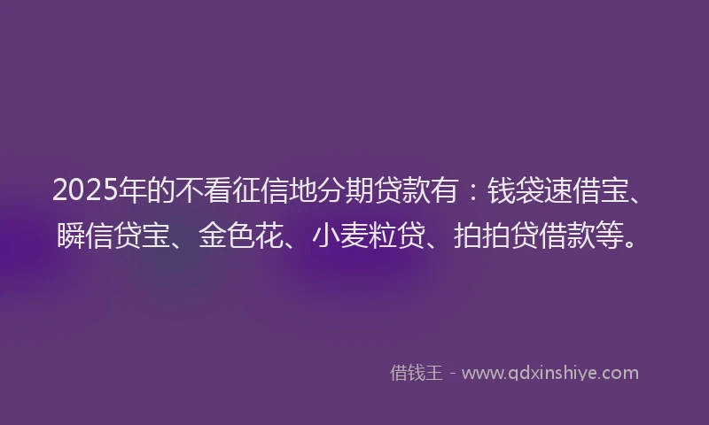 2025年的不看征信地分期贷款有：钱袋速借宝、瞬信贷宝、金色花、小麦粒贷、拍拍贷借款等。
