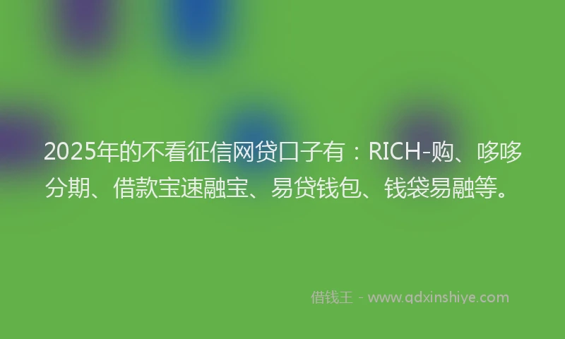 2025年的不看征信网贷口子有：RICH-购、哆哆分期、借款宝速融宝、易贷钱包、钱袋易融等。
