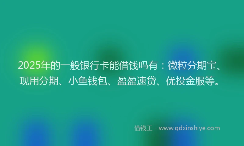 2025年的一般银行卡能借钱吗有：微粒分期宝、现用分期、小鱼钱包、盈盈速贷、优投金服等。