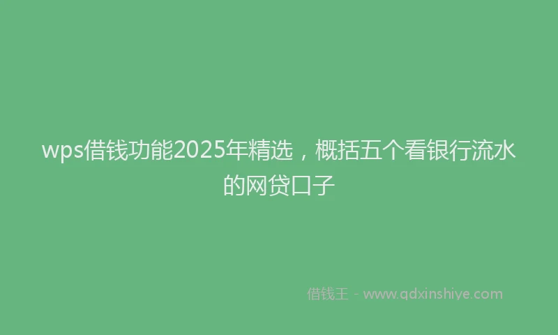 wps借钱功能2025年精选，概括五个看银行流水的网贷口子