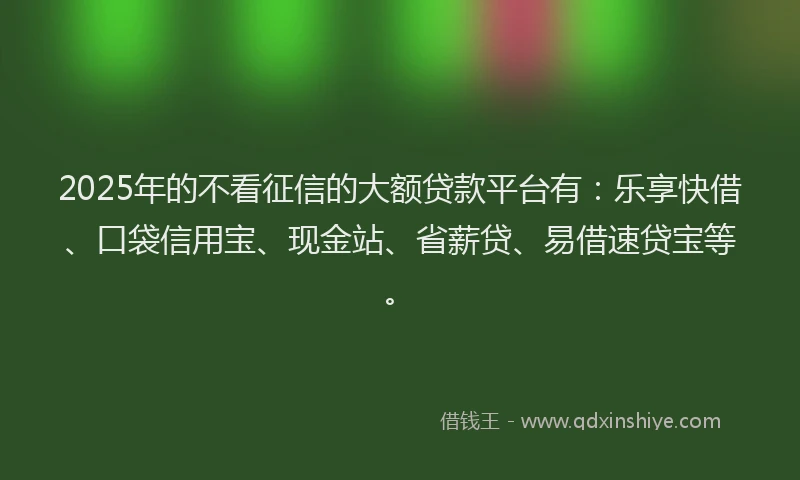 2025年的不看征信的大额贷款平台有：乐享快借、口袋信用宝、现金站、省薪贷、易借速贷宝等。