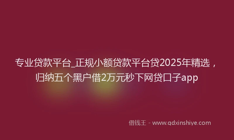 专业贷款平台_正规小额贷款平台贷2025年精选，归纳五个黑户借2万元秒下网贷口子app