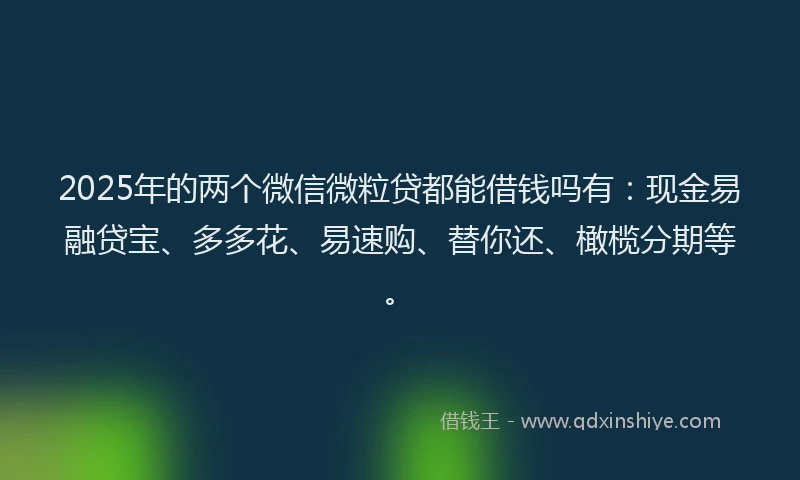 2025年的两个微信微粒贷都能借钱吗有：现金易融贷宝、多多花、易速购、替你还、橄榄分期等。