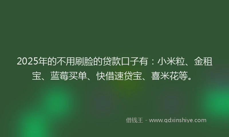 2025年的不用刷脸的贷款口子有：小米粒、金租宝、蓝莓买单、快借速贷宝、喜米花等。