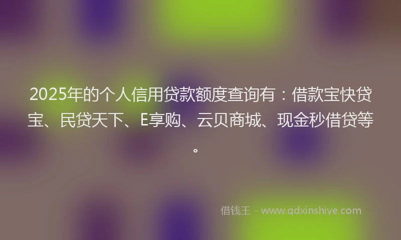 2025年的个人信用贷款额度查询有：借款宝快贷宝、民贷天下、E享购、云贝商城、现金秒借贷等。