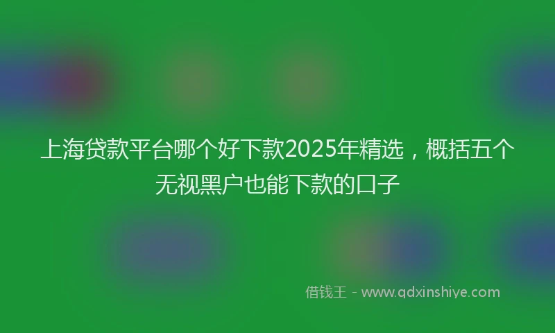 上海贷款平台哪个好下款2025年精选，概括五个无视黑户也能下款的口子