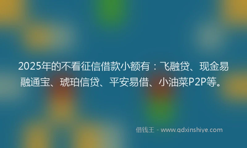 2025年的不看征信借款小额有：飞融贷、现金易融通宝、琥珀信贷、平安易借、小油菜P2P等。