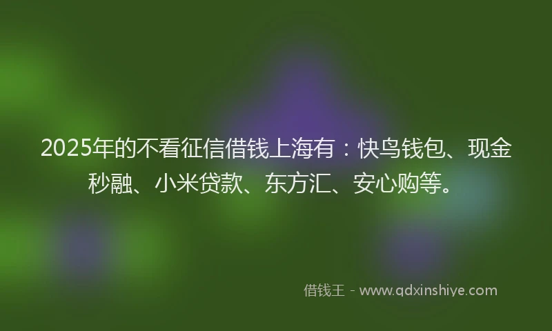 2025年的不看征信借钱上海有：快鸟钱包、现金秒融、小米贷款、东方汇、安心购等。