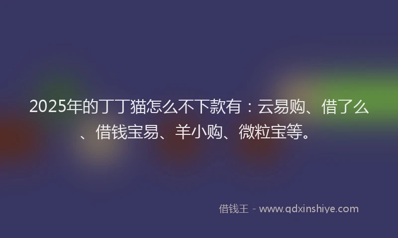 2025年的丁丁猫怎么不下款有：云易购、借了么、借钱宝易、羊小购、微粒宝等。