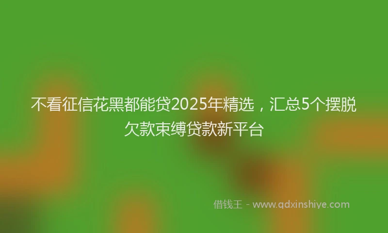 不看征信花黑都能贷2025年精选，汇总5个摆脱欠款束缚贷款新平台