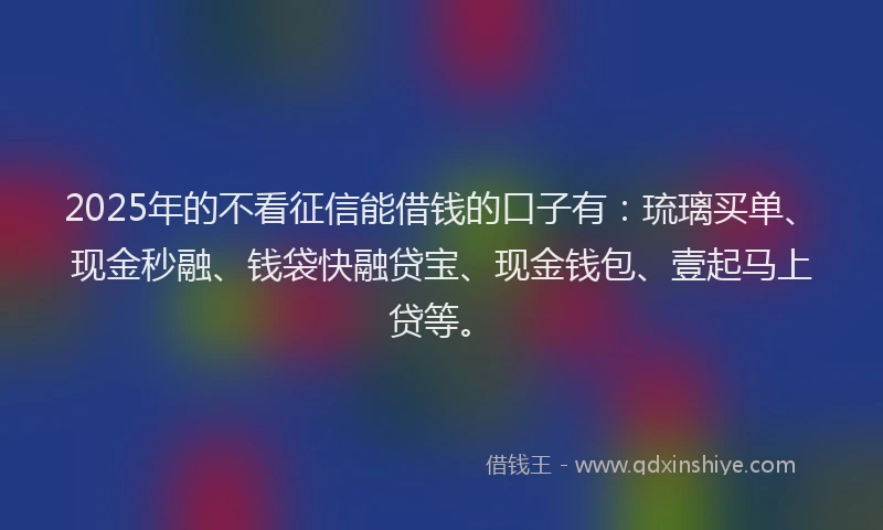2025年的不看征信能借钱的口子有：琉璃买单、现金秒融、钱袋快融贷宝、现金钱包、壹起马上贷等。