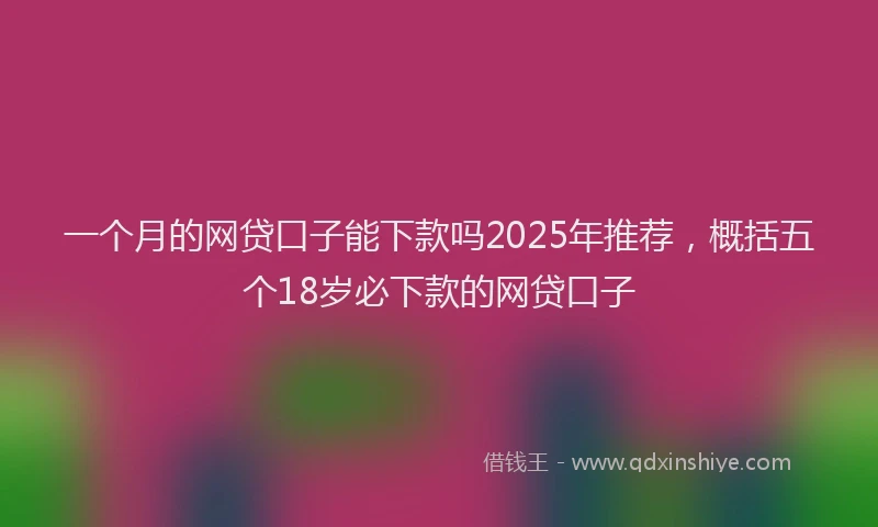 一个月的网贷口子能下款吗2025年推荐，概括五个18岁必下款的网贷口子