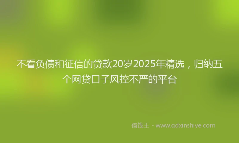 不看负债和征信的贷款20岁2025年精选，归纳五个网贷口子风控不严的平台