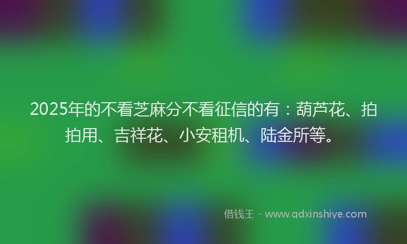 2025年的不看芝麻分不看征信的有：葫芦花、拍拍用、吉祥花、小安租机、陆金所等。