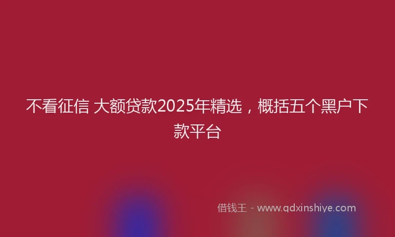 不看征信 大额贷款2025年精选，概括五个黑户下款平台