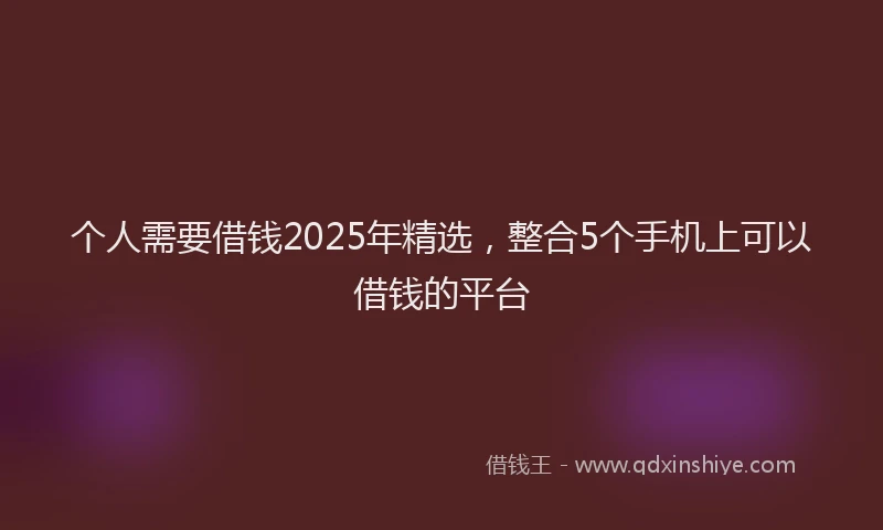 个人需要借钱2025年精选，整合5个手机上可以借钱的平台
