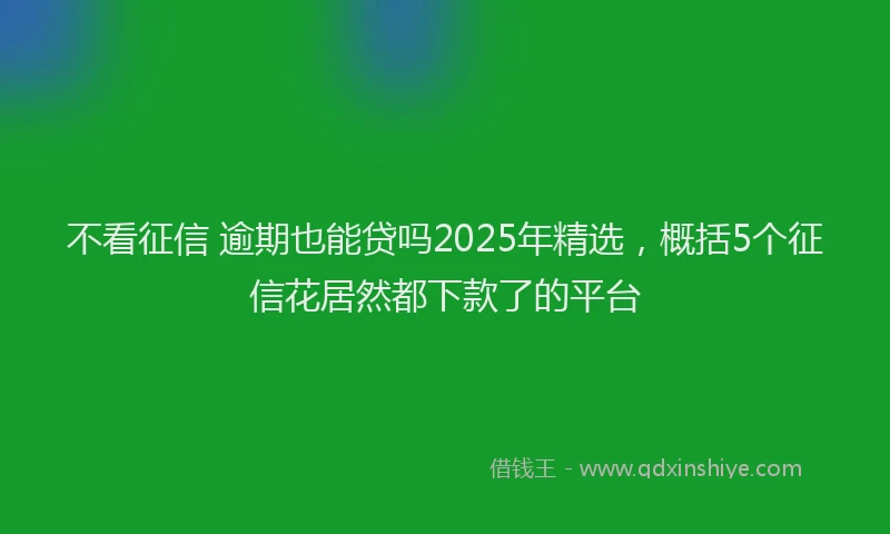 不看征信 逾期也能贷吗2025年精选，概括5个征信花居然都下款了的平台