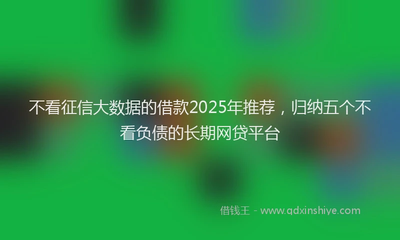不看征信大数据的借款2025年推荐，归纳五个不看负债的长期网贷平台