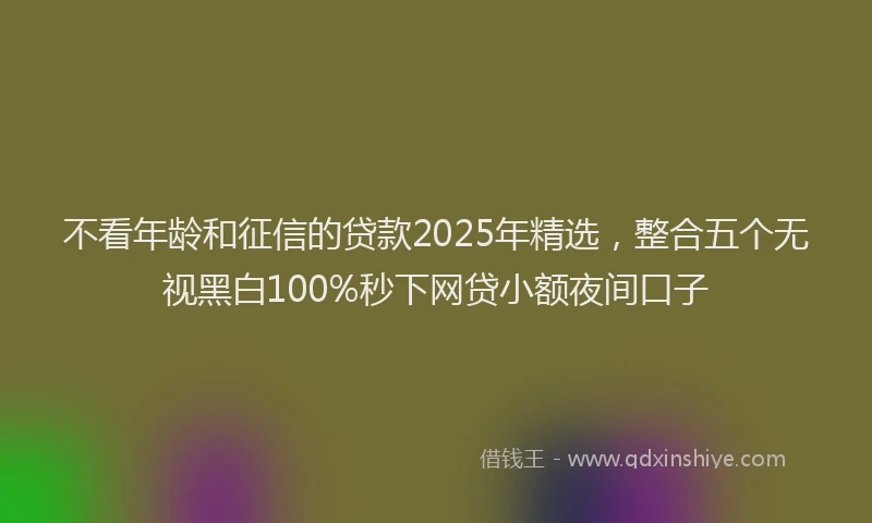 不看年龄和征信的贷款2025年精选，整合五个无视黑白100%秒下网贷小额夜间口子