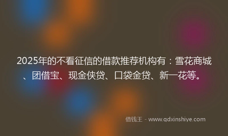 2025年的不看征信的借款推荐机构有：雪花商城、团借宝、现金侠贷、口袋金贷、新一花等。