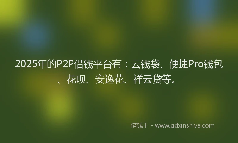 2025年的P2P借钱平台有：云钱袋、便捷Pro钱包、花呗、安逸花、祥云贷等。