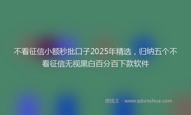 不看征信小额秒批口子2025年精选，归纳五个不看征信无视黑白百分百下款软件