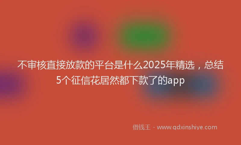 不审核直接放款的平台是什么2025年精选，总结5个征信花居然都下款了的app