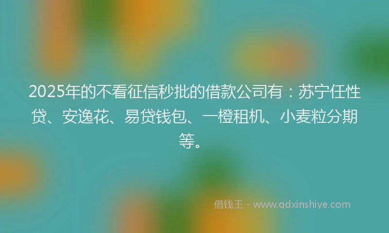 2025年的不看征信秒批的借款公司有：苏宁任性贷、安逸花、易贷钱包、一橙租机、小麦粒分期等。