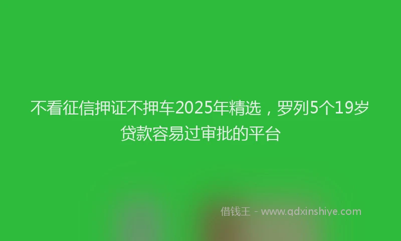 不看征信押证不押车2025年精选，罗列5个19岁贷款容易过审批的平台
