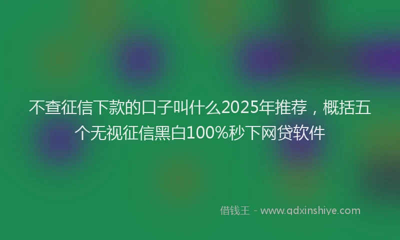 不查征信下款的口子叫什么2025年推荐，概括五个无视征信黑白100%秒下网贷软件
