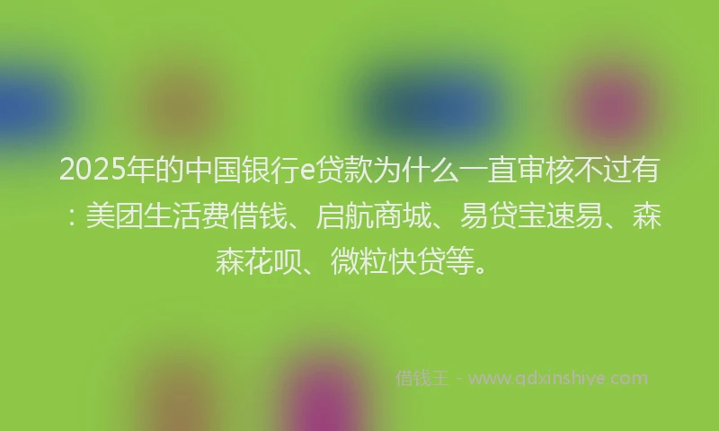 2025年的中国银行e贷款为什么一直审核不过有：美团生活费借钱、启航商城、易贷宝速易、森森花呗、微粒快贷等。