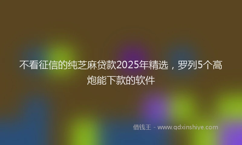 不看征信的纯芝麻贷款2025年精选，罗列5个高炮能下款的软件
