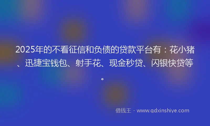 2025年的不看征信和负债的贷款平台有：花小猪、迅捷宝钱包、射手花、现金秒贷、闪银快贷等。