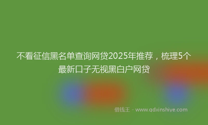 不看征信黑名单查询网贷2025年推荐，梳理5个最新口子无视黑白户网贷