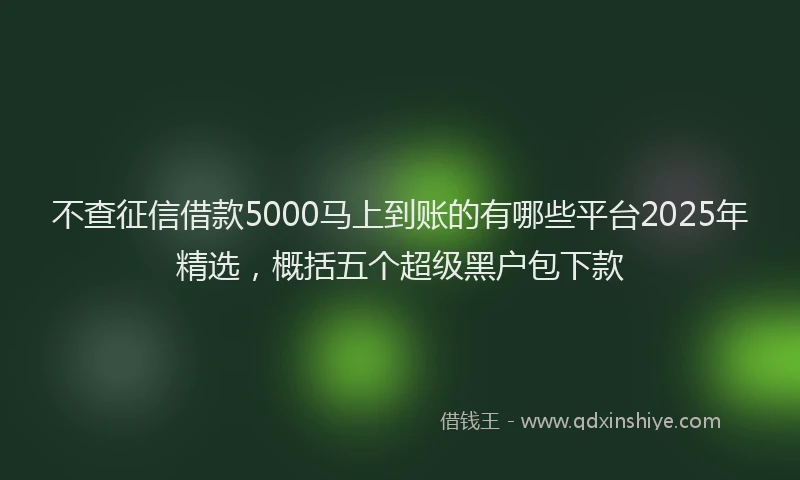 不查征信借款5000马上到账的有哪些平台2025年精选，概括五个超级黑户包下款