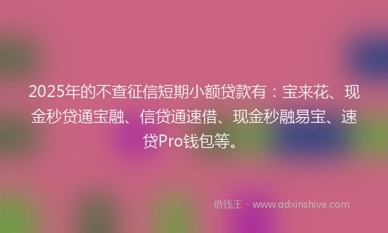2025年的不查征信短期小额贷款有：宝来花、现金秒贷通宝融、信贷通速借、现金秒融易宝、速贷Pro钱包等。