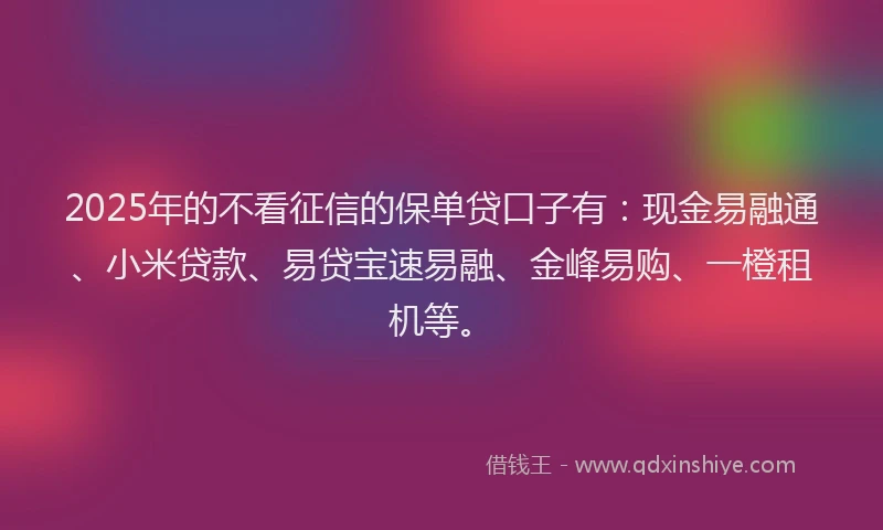 2025年的不看征信的保单贷口子有：现金易融通、小米贷款、易贷宝速易融、金峰易购、一橙租机等。