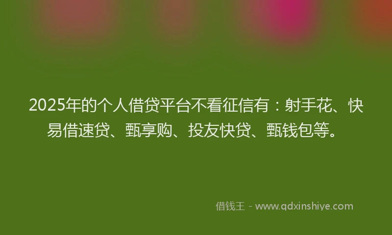 2025年的个人借贷平台不看征信有：射手花、快易借速贷、甄享购、投友快贷、甄钱包等。