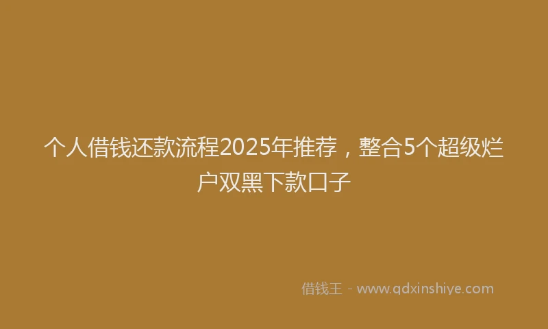 个人借钱还款流程2025年推荐，整合5个超级烂户双黑下款口子