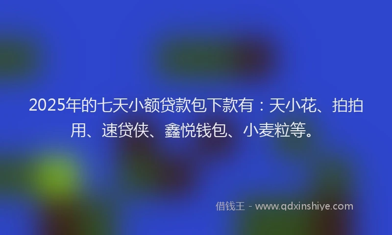 2025年的七天小额贷款包下款有：天小花、拍拍用、速贷侠、鑫悦钱包、小麦粒等。