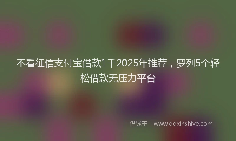 不看征信支付宝借款1千2025年推荐，罗列5个轻松借款无压力平台