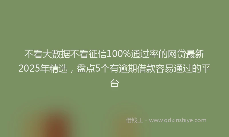 不看大数据不看征信100%通过率的网贷最新2025年精选，盘点5个有逾期借款容易通过的平台