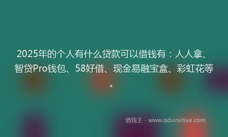 2025年的个人有什么贷款可以借钱有：人人拿、智贷Pro钱包、58好借、现金易融宝盒、彩虹花等。