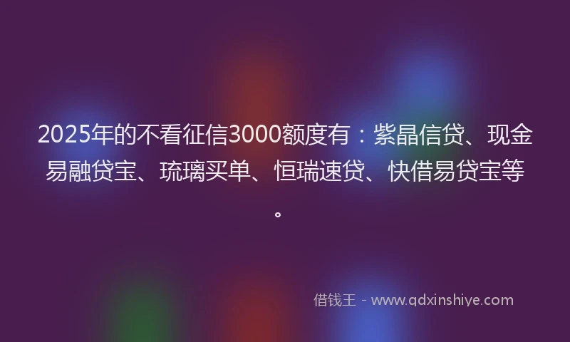 2025年的不看征信3000额度有：紫晶信贷、现金易融贷宝、琉璃买单、恒瑞速贷、快借易贷宝等。