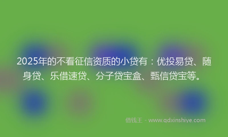 2025年的不看征信资质的小贷有：优投易贷、随身贷、乐借速贷、分子贷宝盒、甄信贷宝等。