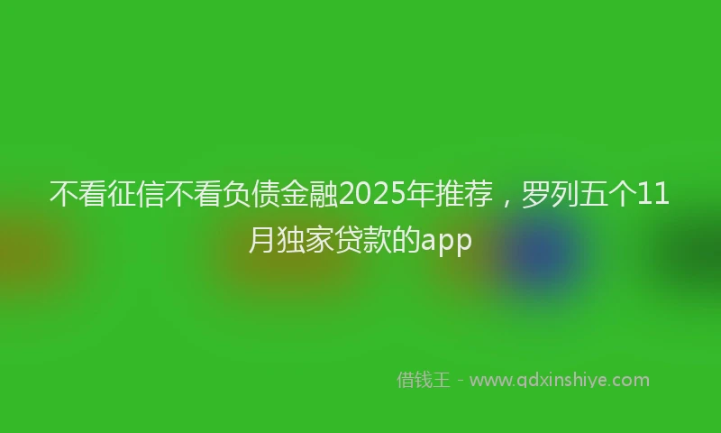 不看征信不看负债金融2025年推荐，罗列五个11月独家贷款的app