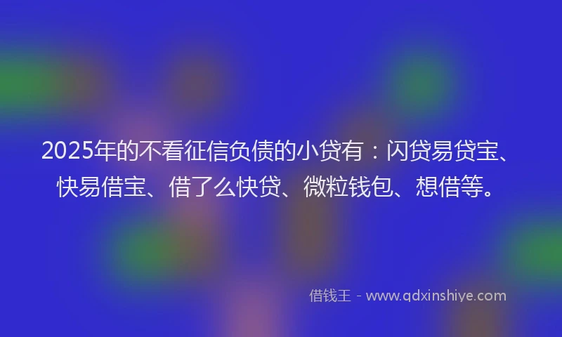 2025年的不看征信负债的小贷有：闪贷易贷宝、快易借宝、借了么快贷、微粒钱包、想借等。