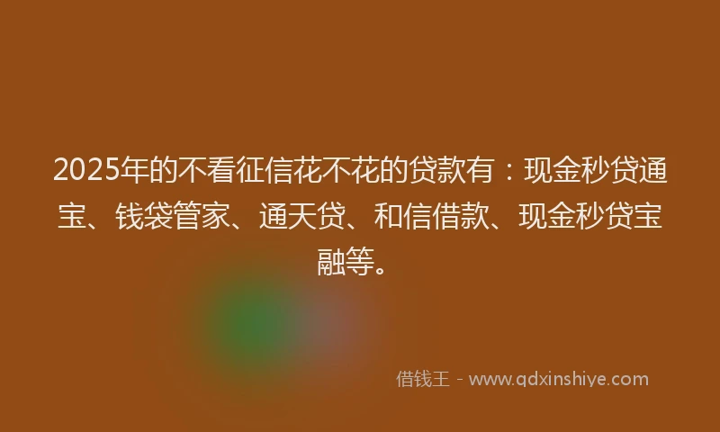 2025年的不看征信花不花的贷款有：现金秒贷通宝、钱袋管家、通天贷、和信借款、现金秒贷宝融等。