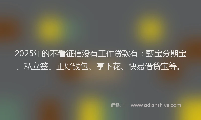 2025年的不看征信没有工作贷款有：甄宝分期宝、私立签、正好钱包、享下花、快易借贷宝等。