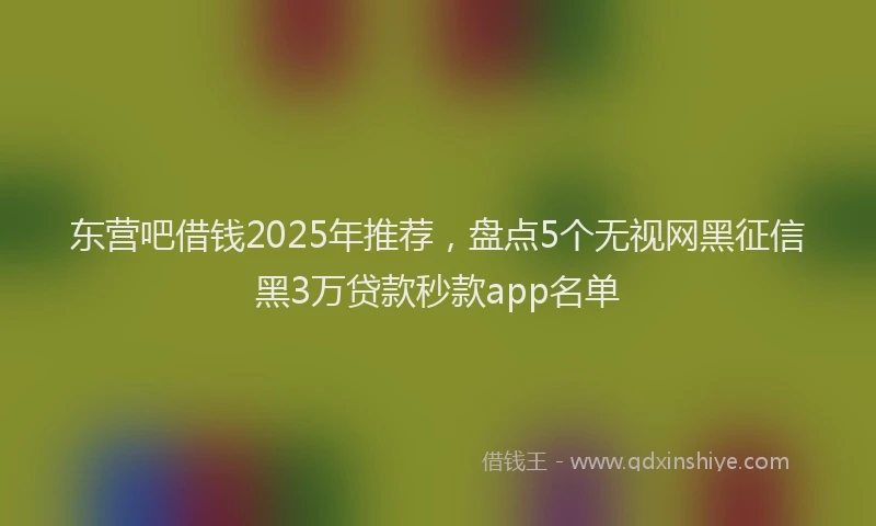 东营吧借钱2025年推荐，盘点5个无视网黑征信黑3万贷款秒款app名单